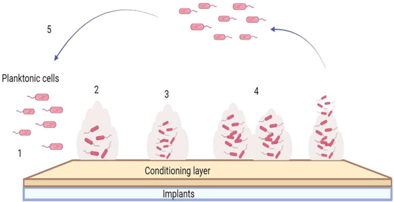 Figure 3