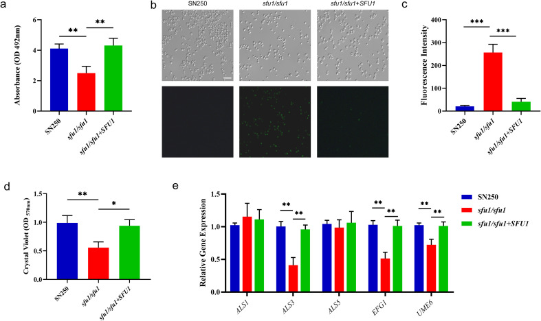 Figure 2