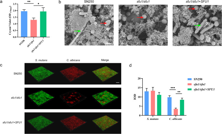 Figure 3