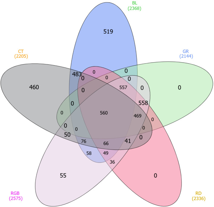 Figure 2