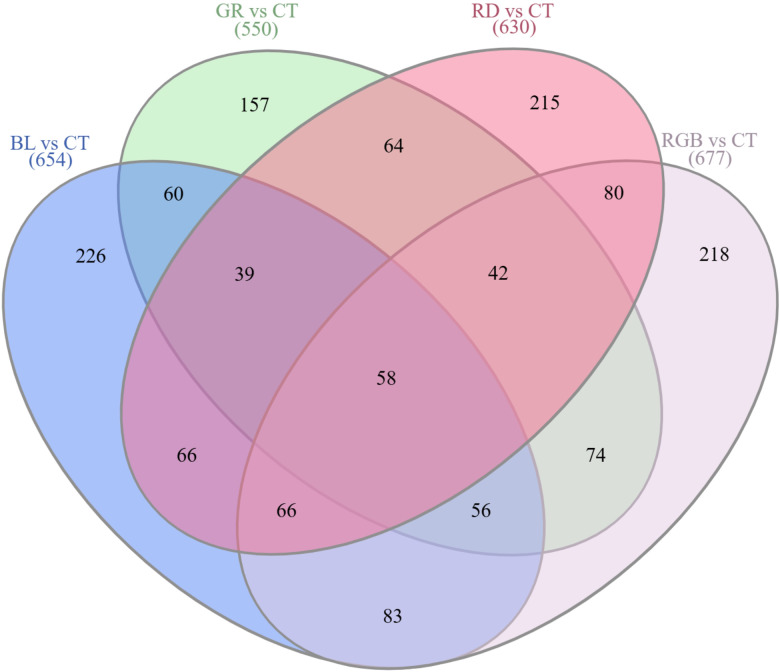 Figure 6