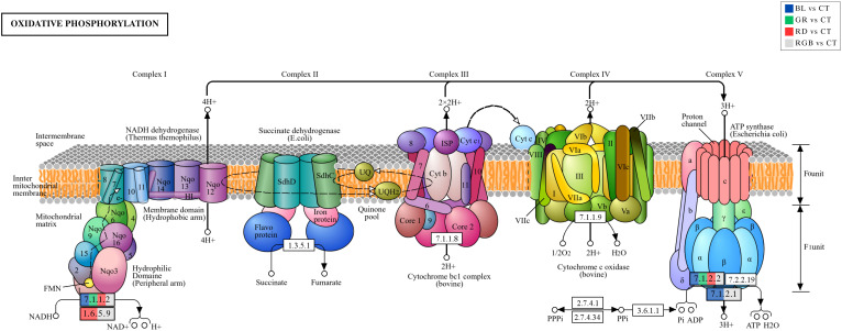 Figure 10