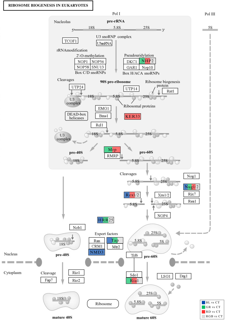 Figure 11
