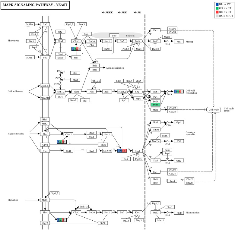 Figure 12