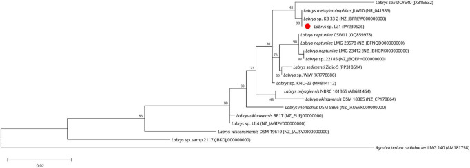 FIGURE 2