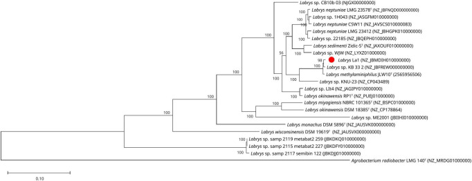FIGURE 3