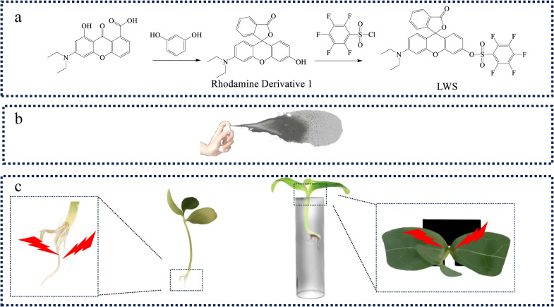 Figure 1