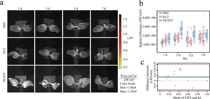 Figure 6