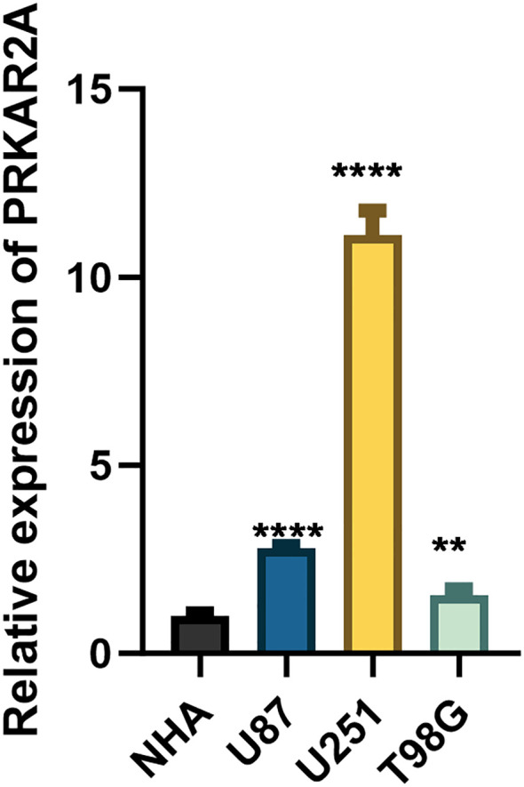 Figure 6
