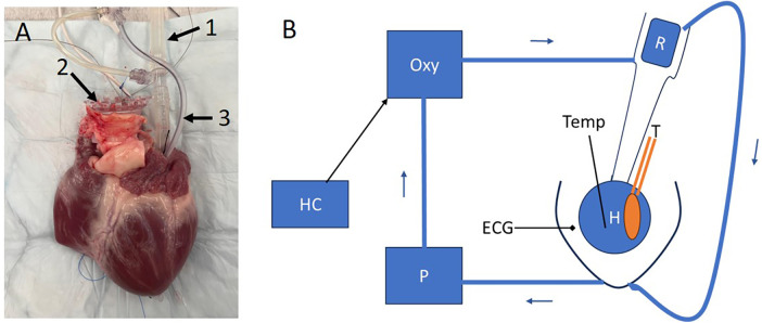 Figure 1