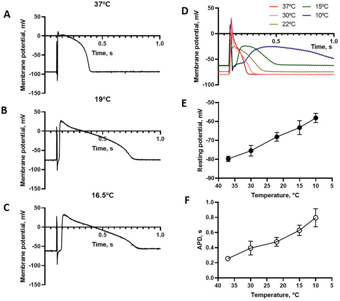 Figure 4