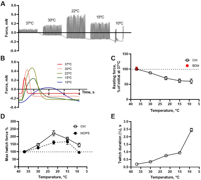 Figure 5