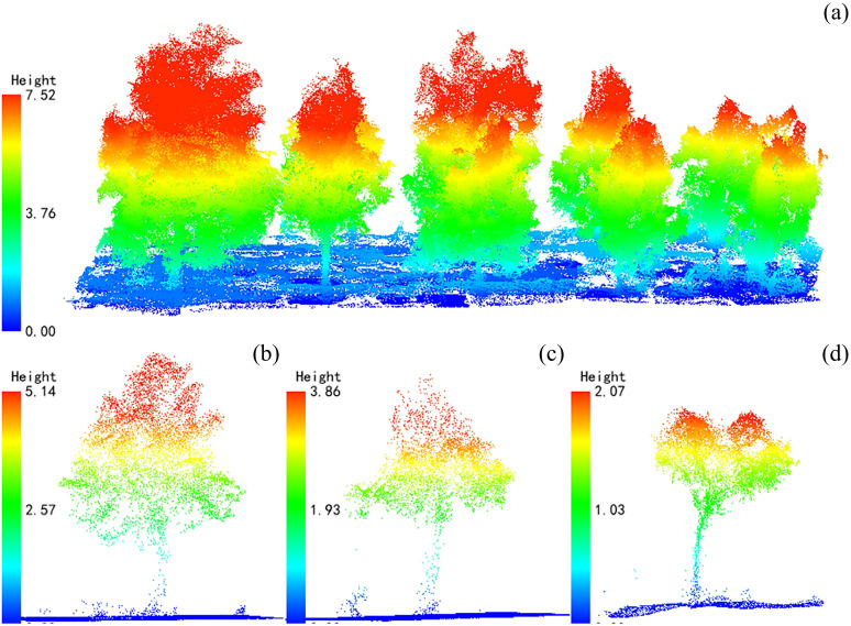 Figure 2