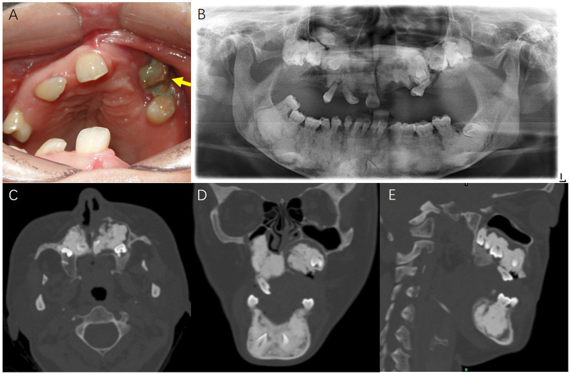 Figure 2