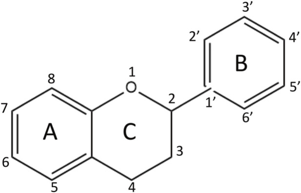 FIGURE 3