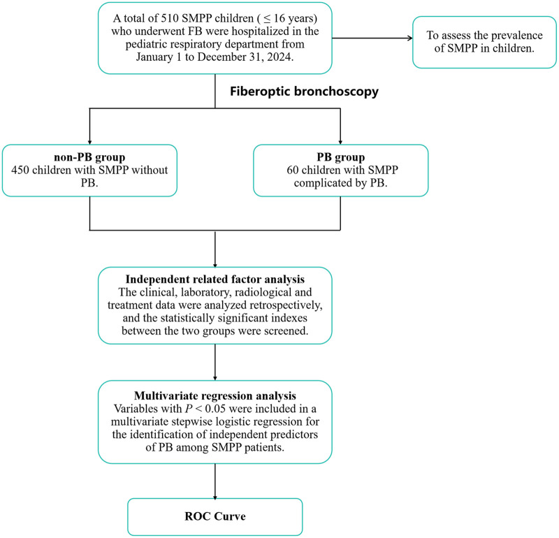 Figure 1