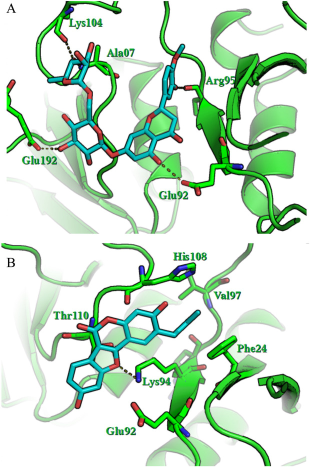 FIGURE 4
