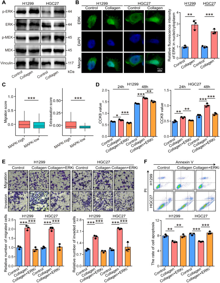 Figure 6