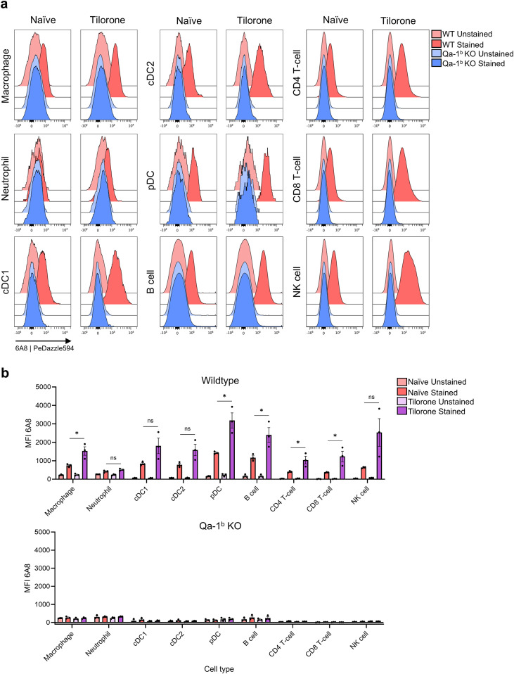 Figure 6