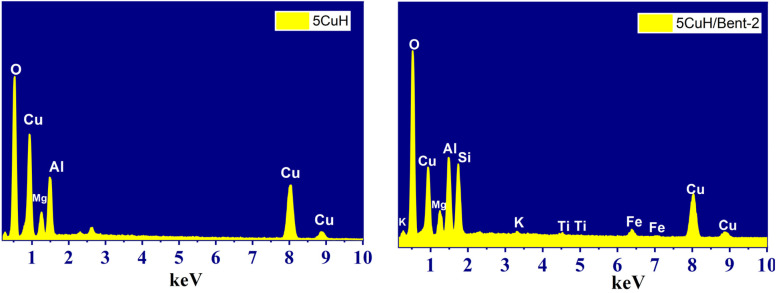 Fig. 5