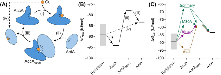 Fig. 10