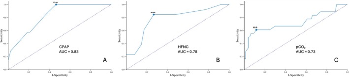FIGURE 1
