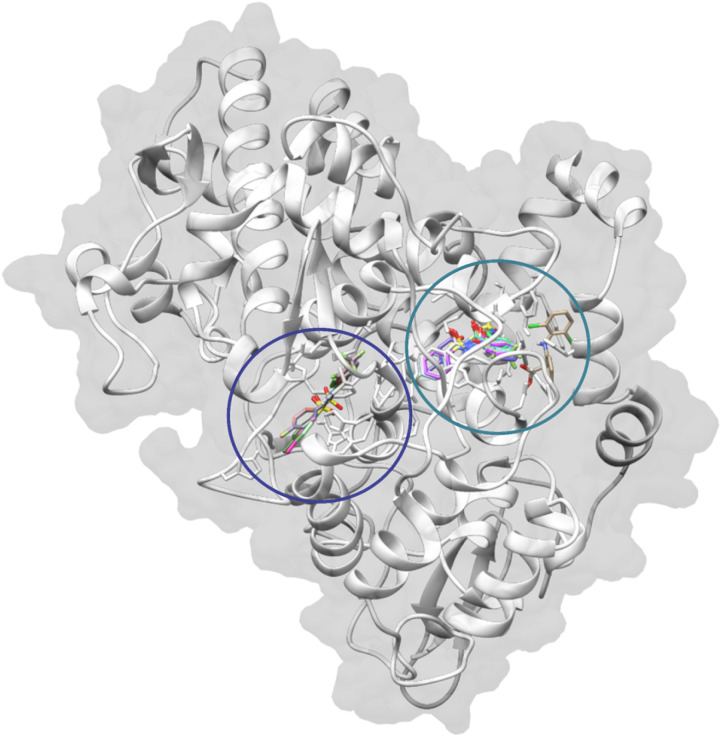 Fig. 2