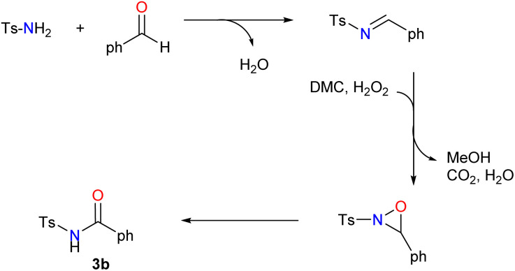 Scheme 2