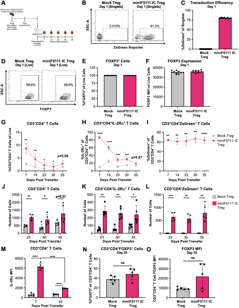 Figure 6