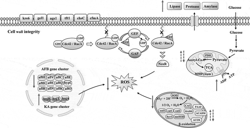 Figure 18