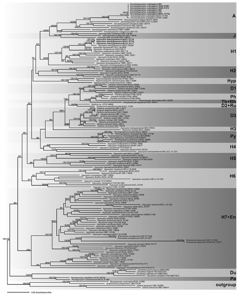 Figure 2