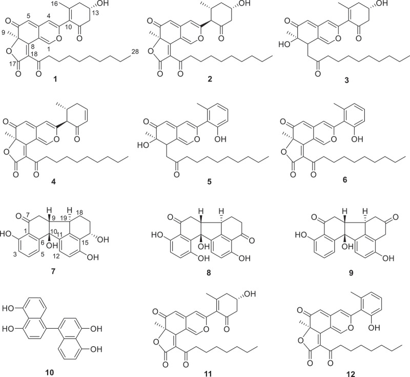 Figure 6