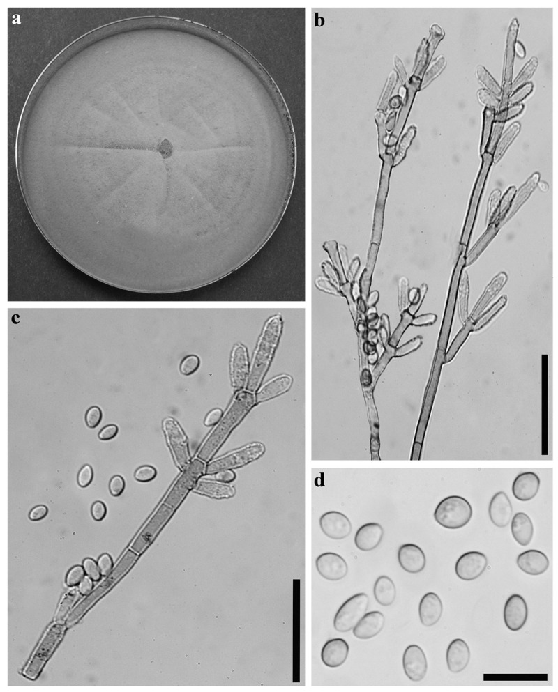 Figure 10