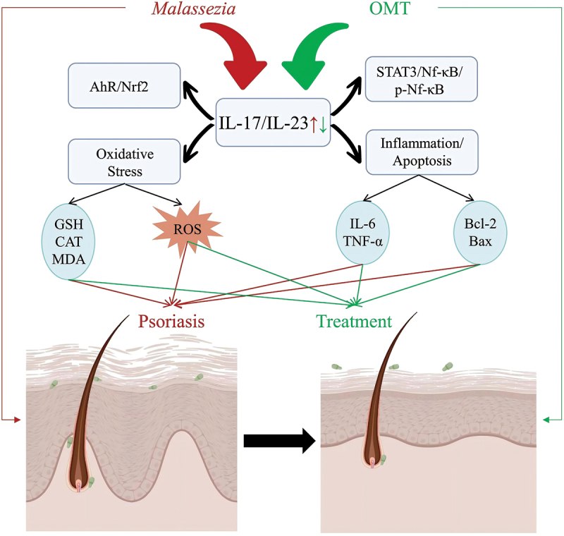 Figure 21
