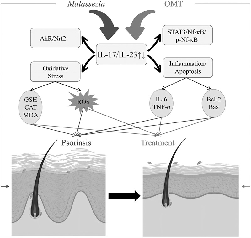 Figure 22
