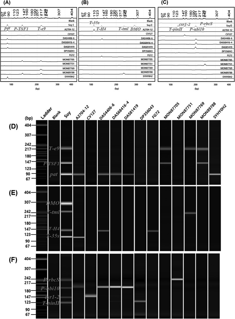 Figure 10