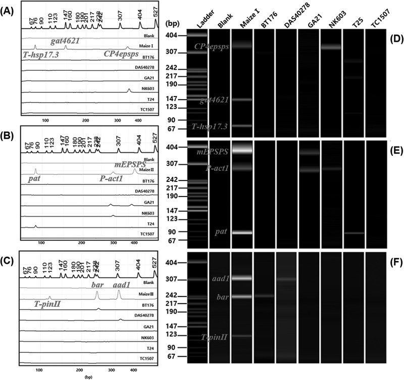 Figure 12