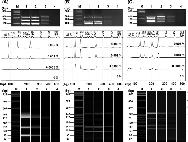 Figure 13