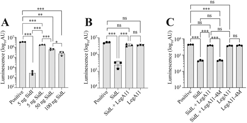 Figure 11