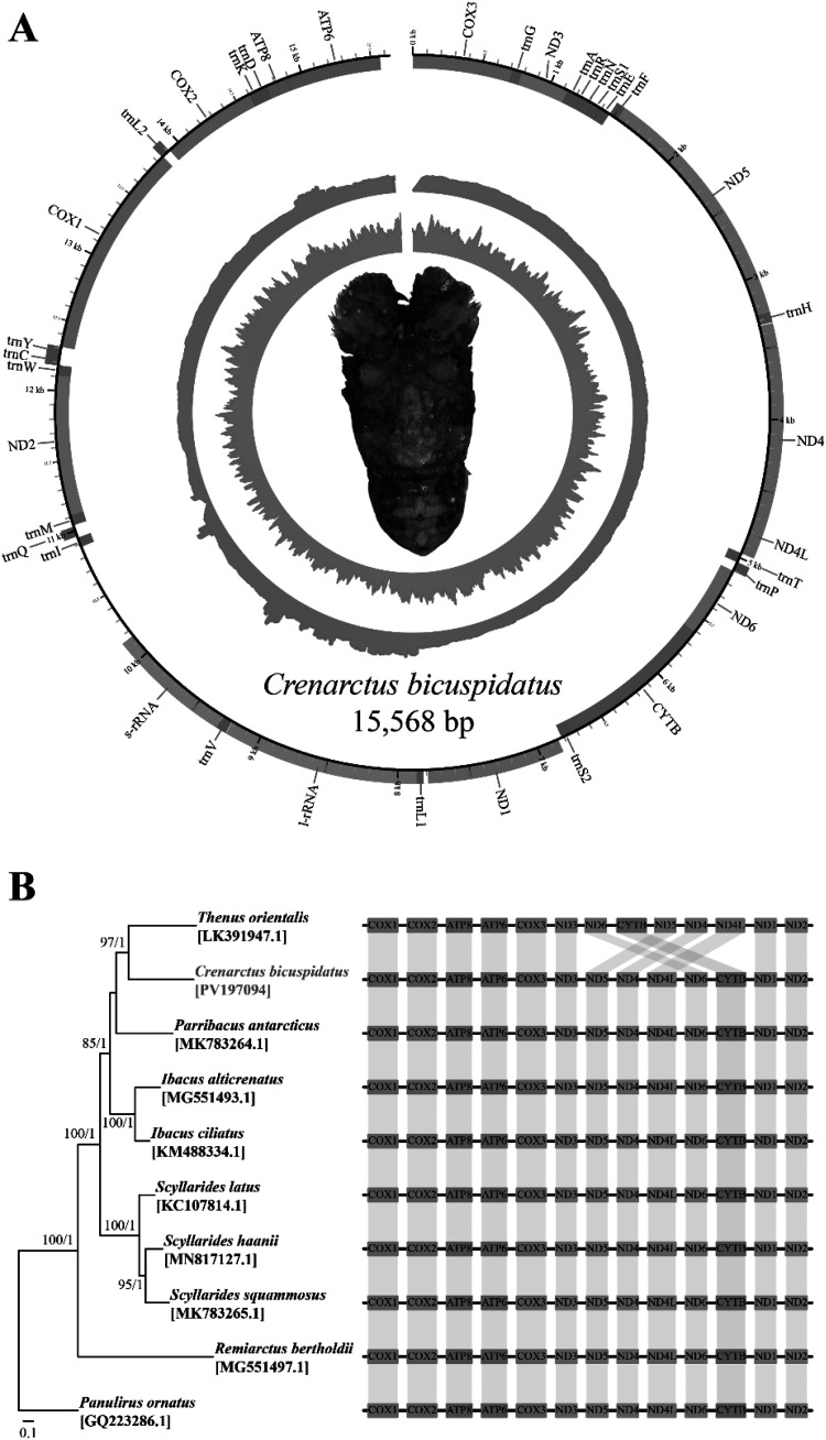 Figure 2