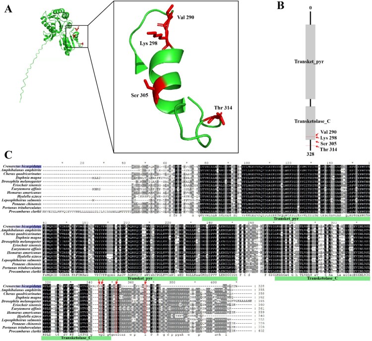 Figure 7