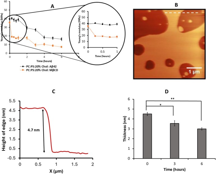 FIGURE 4