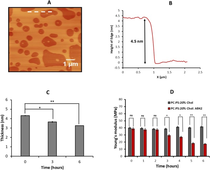 FIGURE 3