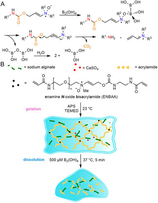 FIGURE 13