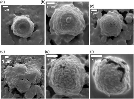 FIGURE 14
