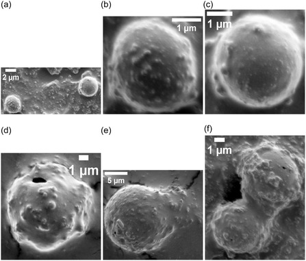 FIGURE 16