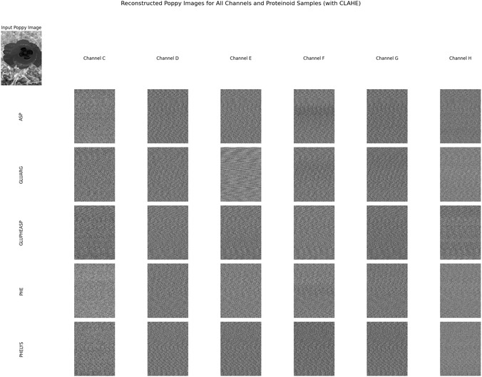 FIGURE 21