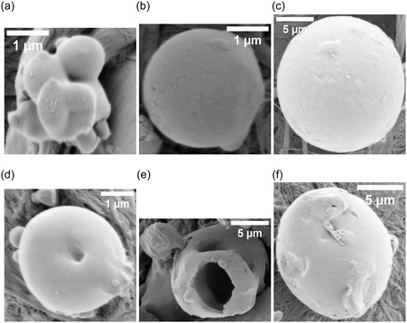 FIGURE 17
