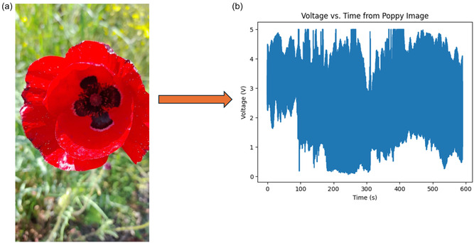 FIGURE 19