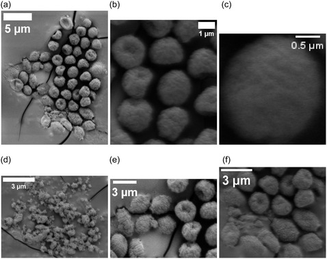FIGURE 18